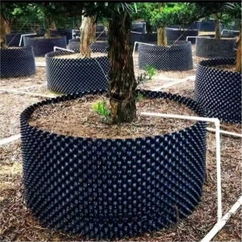 Grow Container Garden Tree Bon - огляд і ціна Nursery
