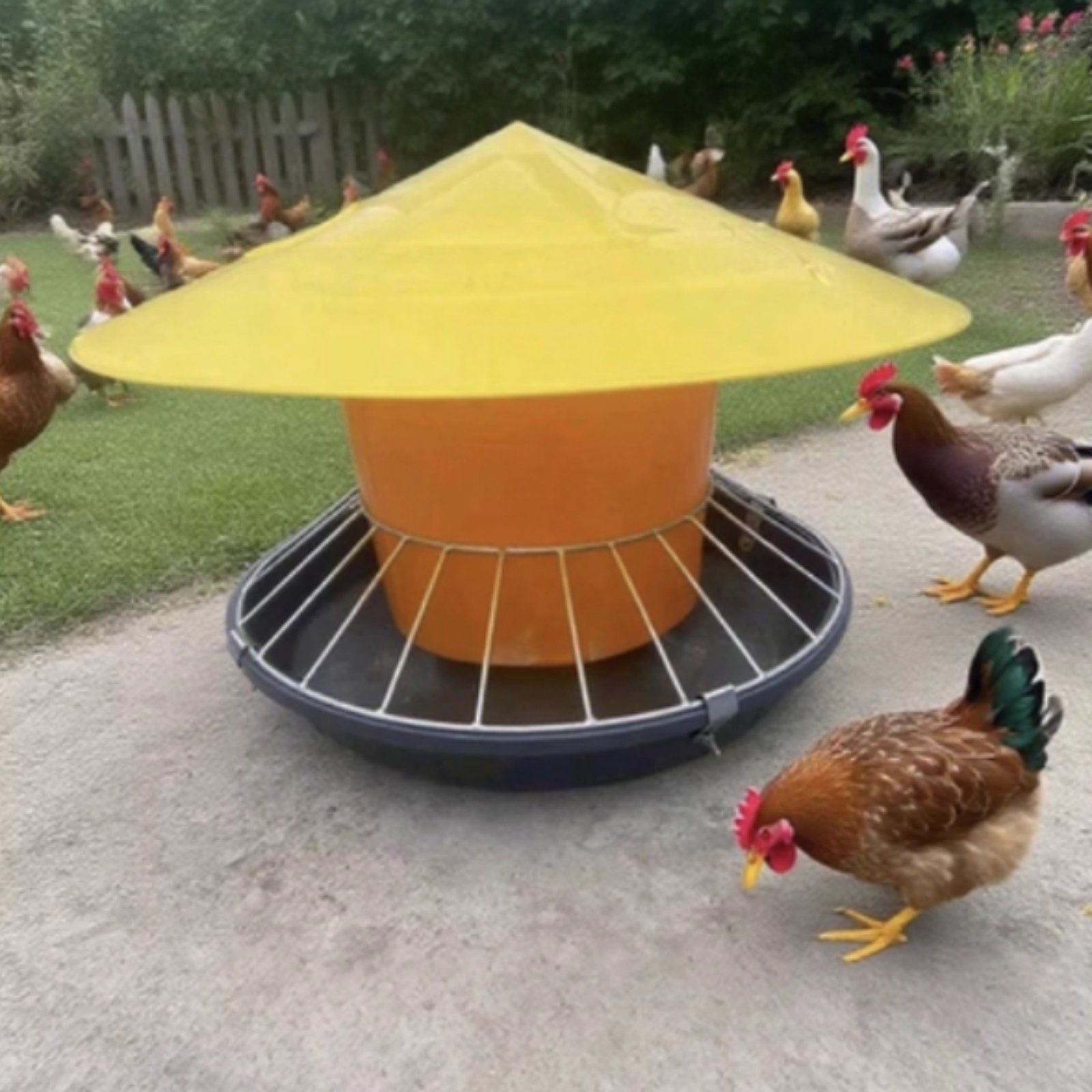 Round Fowl Feeder Large Capaci - огляд і ціна Feeding