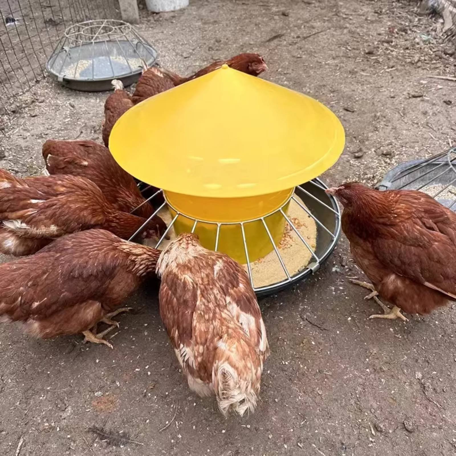 Round Fowl Feeder Large Capaci - огляд і ціна Feeding