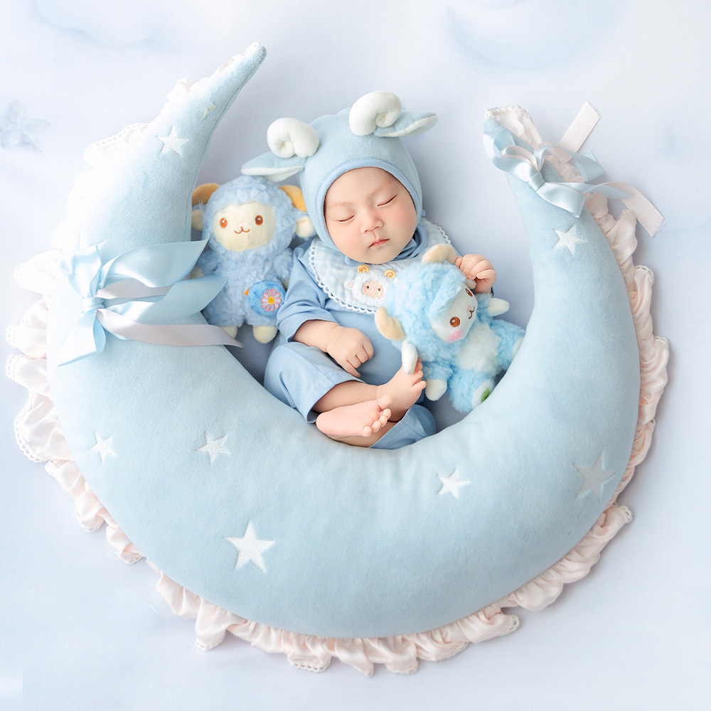 Blue Sheep Newborn Photography - огляд і ціна Infant Photography Props Outfit