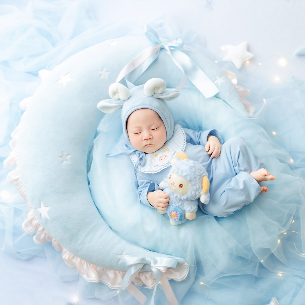 Blue Sheep Newborn Photography - огляд і ціна Infant Photography Props Outfit